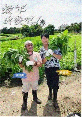 派大星短剧合集 封面