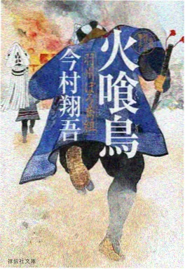 珊迪的德州冒险 封面